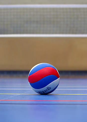 modrý, bílý, Červené, volejbalový míč, síť, přízemní, volejbal, míč, pole, volejbalové hřiště, sport