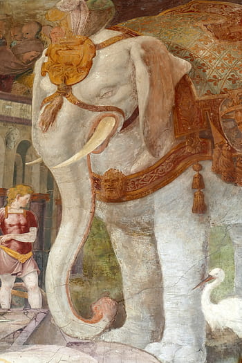 fresco, mural, elephant, stork, art, wall, decoration, history, castle, fontainebleau, france
