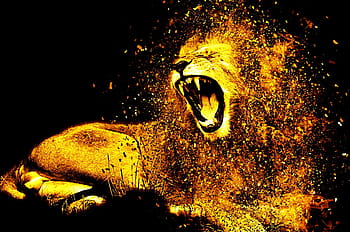 Marrone, Leone, grafico, sfondo, criniera, capelli, pelliccia, gatto, predatore, maschi, capo