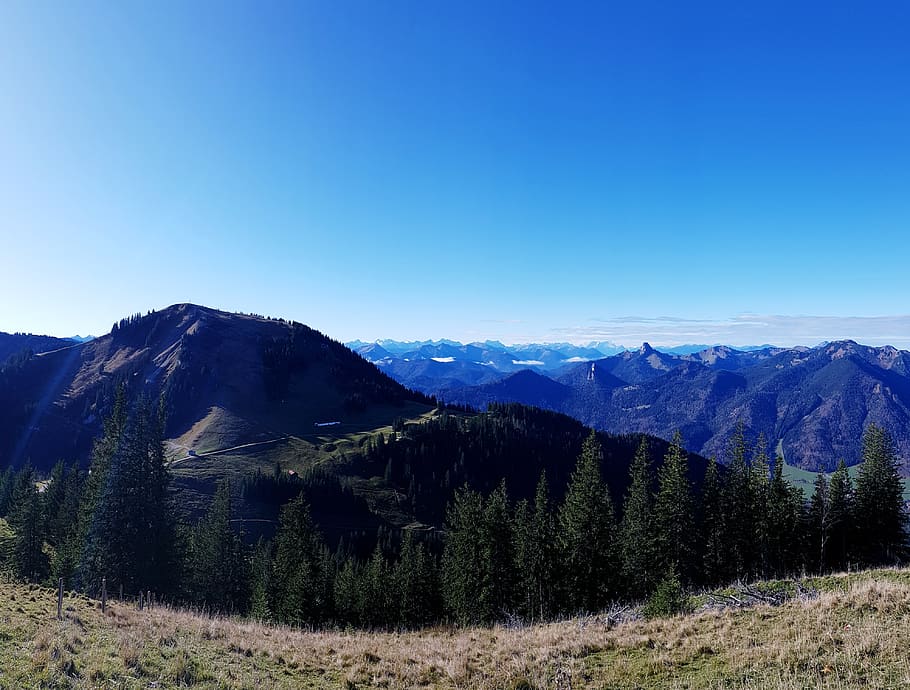 panorama, alpine, good view, hochwald, firs, mountains, wallberg
