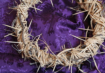 hnědý, věnec, nachový, textil, Trnová koruna, Ježíš, ukřižování, Dobrý pátek, Svatý týden, svatý, mučení