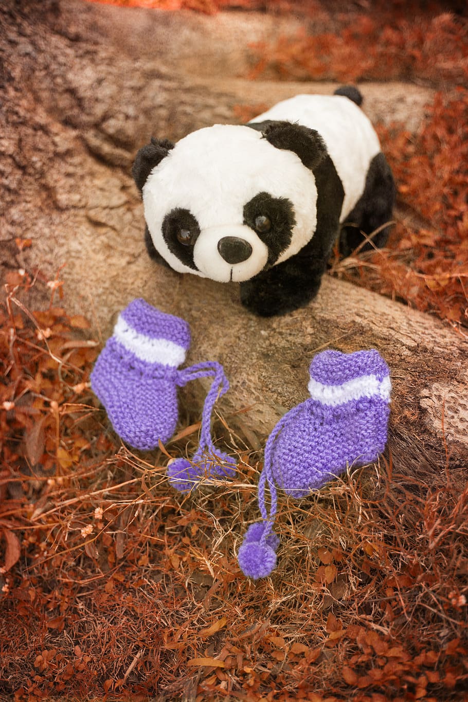 orsacchiotto di peluche, orsacchiotto, la modifica