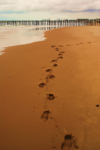 ślady stóp, piasek, linia brzegowa plaży, Ślady na piasku, plaża, linia brzegowa, fußbabdruck, fußbabdrücke, ślady, ślady na piasku, ślad