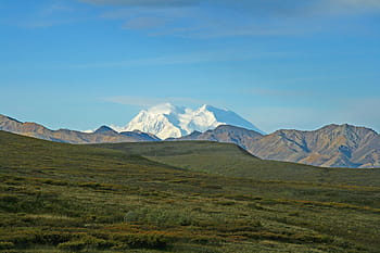 Aljaška, denali, divokost, hory, denali, divočina, Příroda, mount denali, tundra, rostlin, hora, krajina