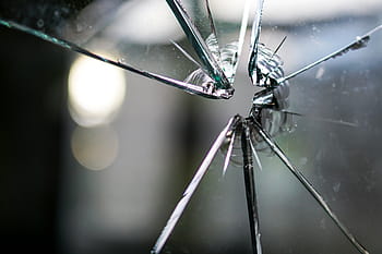 clear cracked glass, glass, broken, fragmented, hole, crack, disc, window, glass breakage, splitter, damage