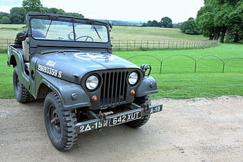 willys jeep, jeep, willys, green, vintage, old, military, american, automobile, transportation, vehicle