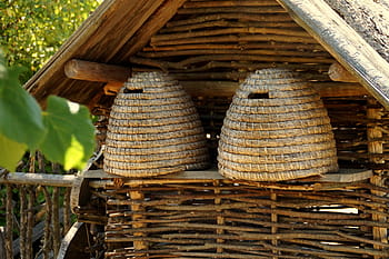 dva, hnědý, kopulovité hnízdní boxy, dřevěný, Dům, úl, včely, úly, historicky