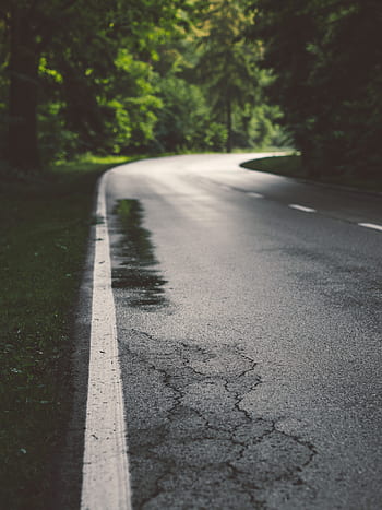 rural, route, humide, pluie, flaque, des arbres, forêt, campagne