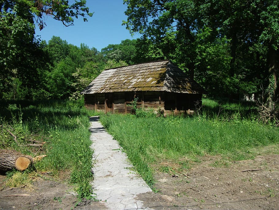 old, home, traditional, museum, village, timisoara