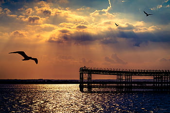 Mayo, en, Huelva, silhouette, bridge, birds, scnery