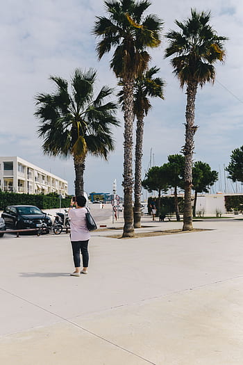 Costa, mar, barco, lujo, viajes, mediterráneo, puerto deportivo, yates, Mar Balear, Puerto, Ginesta