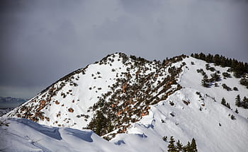 snow, covered, mountain, daytime, winter, white, cold, weather, ice, trees, plants