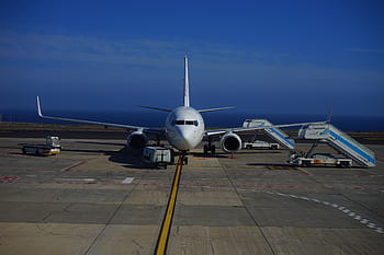 white, airbus, runway, aircraft, airport, passenger aircraft, travel plane, airline, gangway, tenerife south, tfs