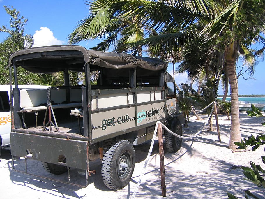 moře, palmy, auto, unimog