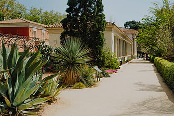 botanické, zahrada, Skutečný Jardin, jaro, Příroda, botanický, Evropa, evropský, výlet, cestovat, nemovitý