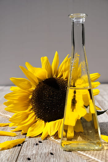 oil, sunflower oil, cooking oil, food, nutrition, cook, sun flower, bottle, flower, plant, flora