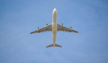 fotografování s nízkým úhlem, letoun, letadlo, proud, švýcarský, airbus, a340, cestovat, let, Dovolená, prázdniny