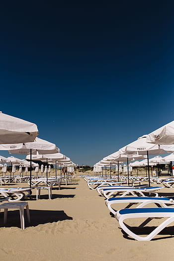 tumbonas, soleado, playa, sombrillas, salón, sillas, Sunny Beach, Bulgaria, océano, arena, mar
