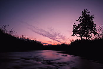 calma, corpo, acqua, viola, arancia, cielo, fiume, erbe, natura, paesaggio, alberi