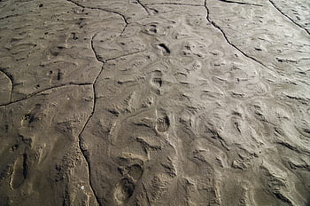 泥、 足跡、 土壌、 ステップ、 粘土、 どろどろ、 足、 地球、 接地、 自然、 屋外の