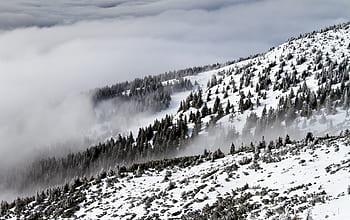 natura, paesaggio, boschi, foresta, la neve, inverno, freddo, tempo metereologico, montagna, viaggio, avventura