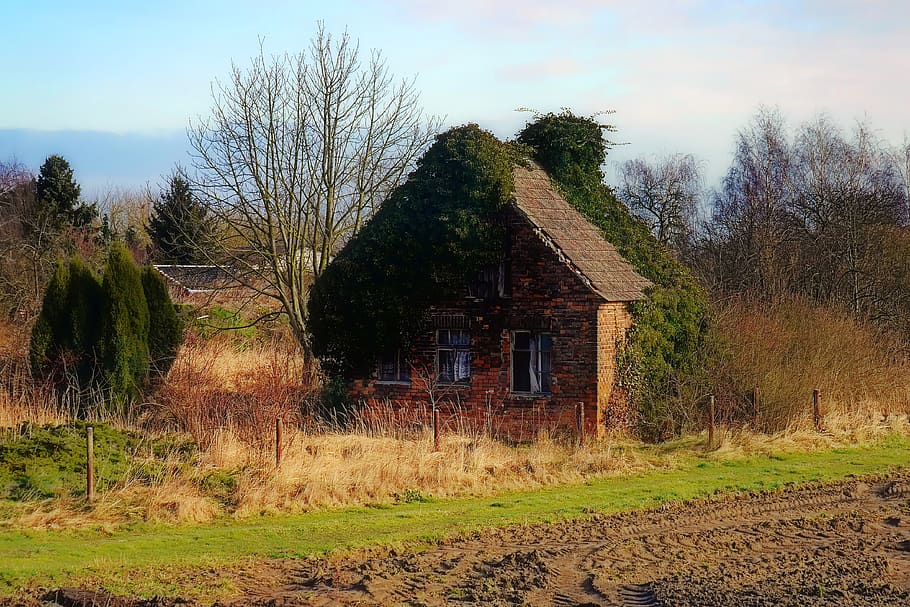 house, old, abandoned, break up, ruin, old building, lonely house, decay, overgrown, old house, lost places