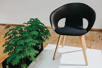 varios, sillas de diseño, mesas, exposición, diseñador, sillas, silla, mesa, arte, diseño, instalación