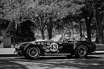 grayscale photography, convertible, coupe, parked, tree, gray, scale, car, Shelby, Cobra, race car
