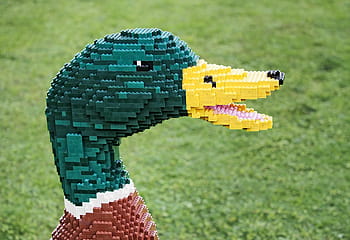 マガモ、 メガ、 ピクセル写真、 レゴ、 アヒル、 ドレイク、 鳥、 レンガ、 ブロック、 おもちゃ、 建物