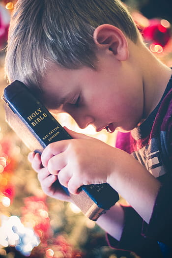 boy, holding, holy, bible, book, reading, religious, hand, bokeh, kid, praying