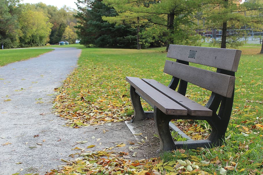 Cornelio, Montalbo, Park, Bench, park, bench, nature, outdoors, tree, park - Man Made Space, autumn, grass