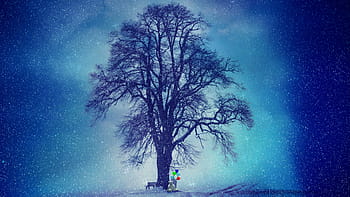 silueta, strom, zbloudilý, noc, zimní, sníh, Studený, sněžení, sníh krajina, zasněžený, osamělý