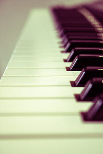 superficiale, fotografia a fuoco, tasti del piano, tastiera, organo, pianoforte, musica, strumento, tasto del pianoforte, strumento musicale, cultura artistica e intrattenimento