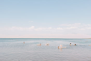 gruppo, persone, nuoto, morto, mare, giorno, gruppo di persone, mar Morto, blu, grigio, uomini