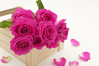 pink, rose, flowers, brown, wooden, organizer, bouquet, bouquet of roses, roses, love, romantic