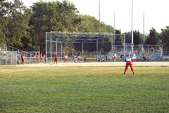lidé, hraní, baseball, pole, přijata, během dne, skupina, hráčů, zelená, trávník, tráva