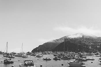 lodí, tělo, voda, hora, člun, hodně, catalina, marina, přístav, ostrov, oceán