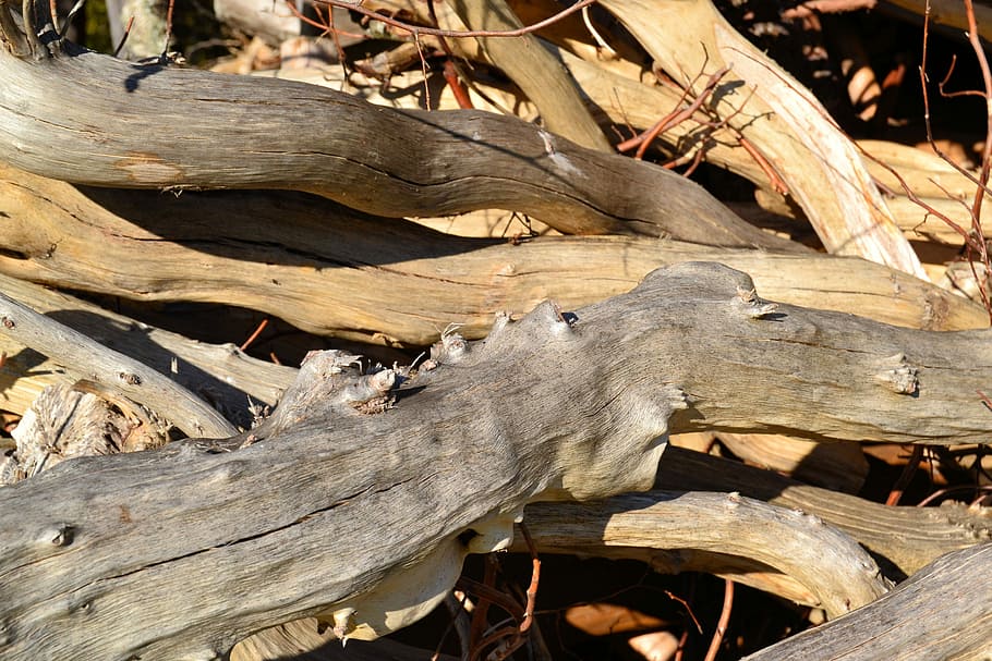 木材、 スタック、 構造、 ツリー、 holzstapel、 薪、 ログ、 ストック、 人なし、 フルフレーム、 日