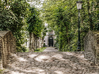 zelená, stromy, Černá, post lucernou, během dne, bruges, park, avenue, kamenný most, malebné, zahrada