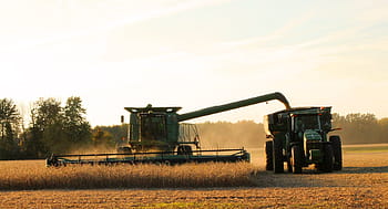 black, combine, harvester, rice field, harvest, teamwork, harvesting, soybean, agriculture, farming, farm