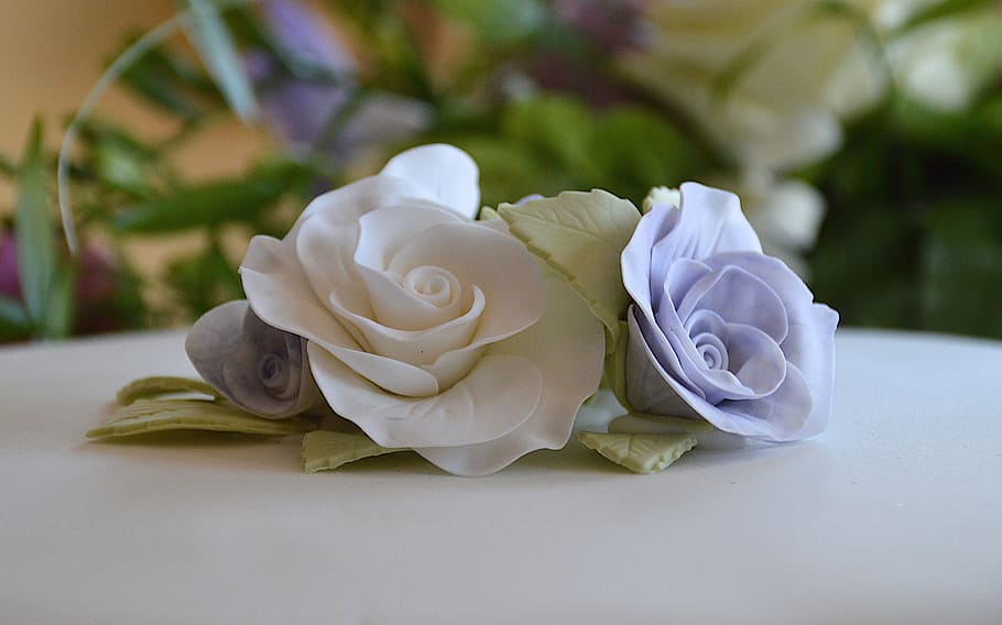 white, blue, rose, table, selective focus, photography, teal, red, decorative, plants, wedding