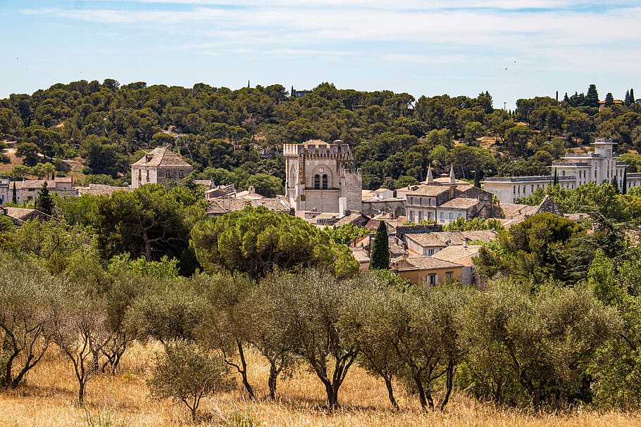 provence, avignon, south of france, villeneuve-lès-avignon, old, city, historic center, middle ages, olive trees, summer, architecture