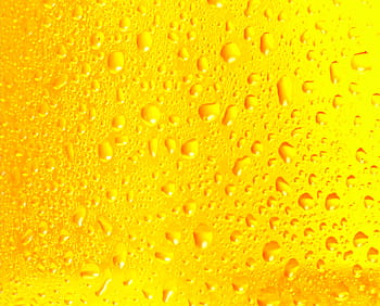 shallow, moist, yellow, water, dew, beer, lemonade, drops, fresh, rain, drop