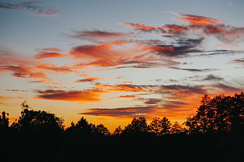 bosque, puesta de sol, naturaleza, cielo, árboles, atmosférico, nubes, anochecer, naranja Color, paisaje, nube - cielo