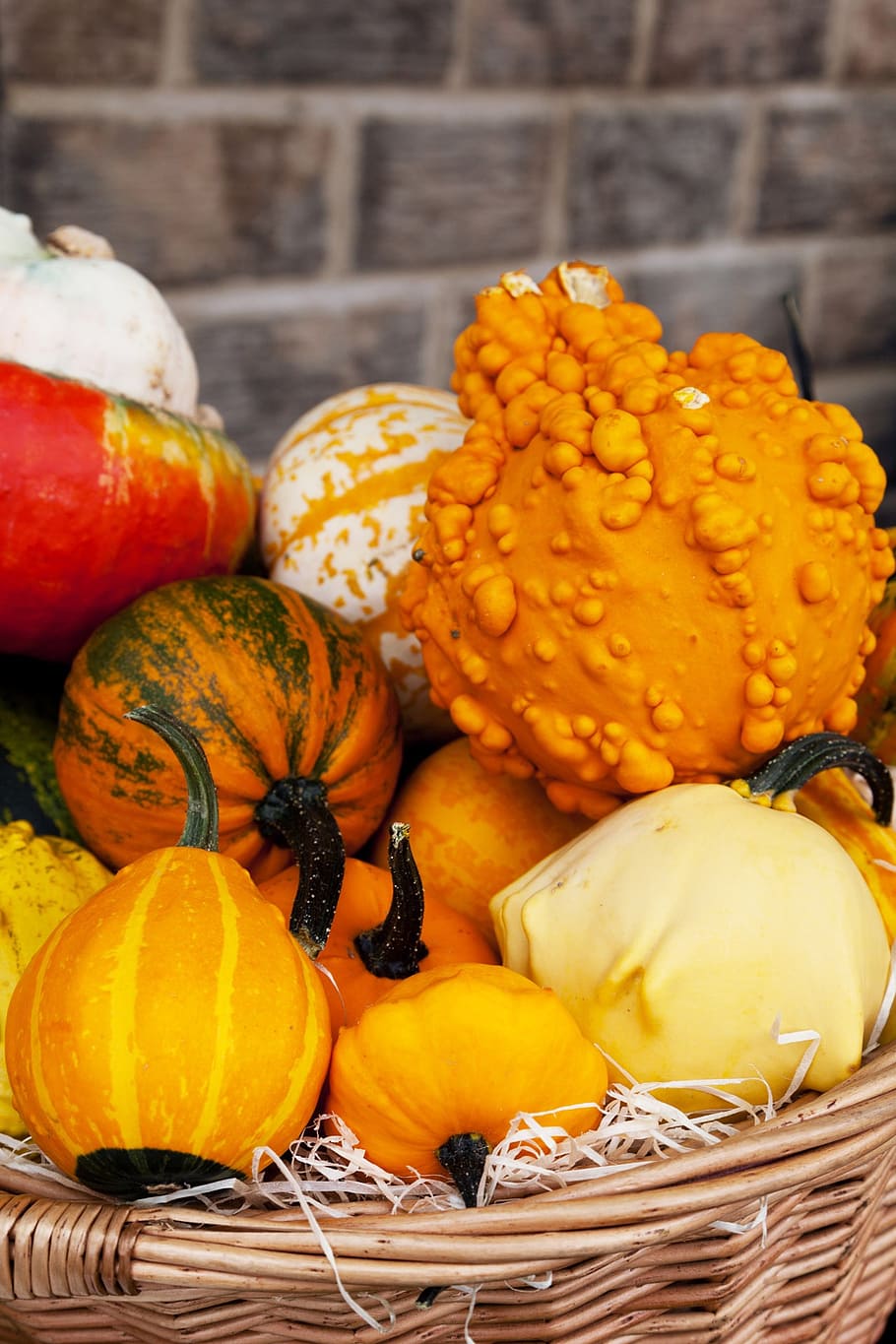 agriculture, autumn, colorful, crop, fall, food, fresh, harvest, nature, pumpkin, season