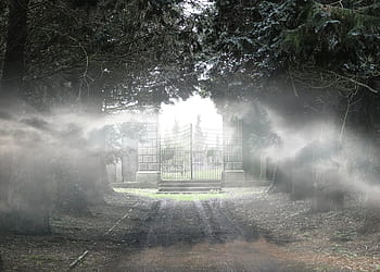 cimitero, spaventoso, Halloween, funerale, tomba, pauroso, morto, lapide, pietra sepolcrale, frequentato, raccapricciante