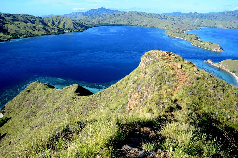 krajinářské fotografie, jezero, obklopen, zelená, hory, během dne, komodo, pohled, park, národní, ostrov, Pohled