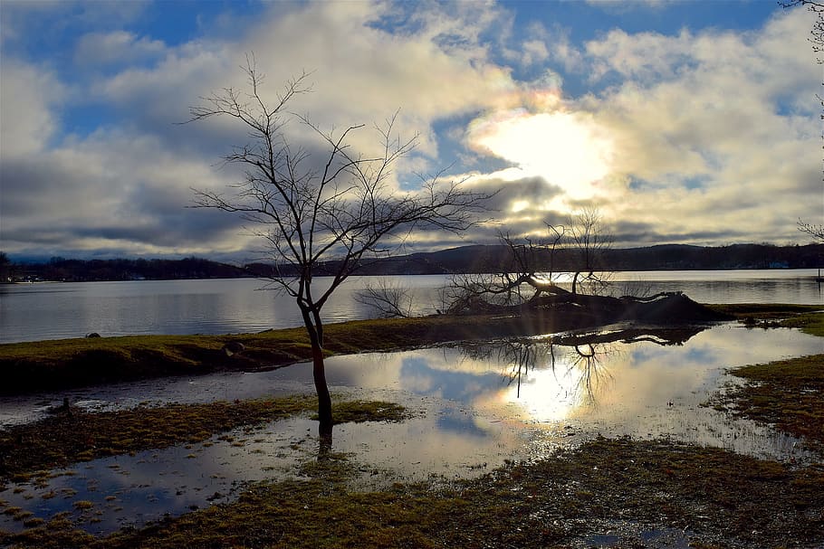 Sunset, Lake, Water, Nature, Landscape, sunset, lake, evening, sky, reflection, dusk, tree