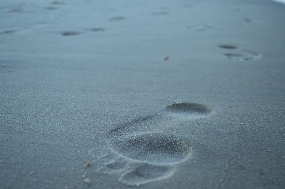 orma, Spiaggia di sabbia, impronte, sabbia, spiaggia, oceano, acqua, Pacifico, litorale, sabbia della spiaggia, natura