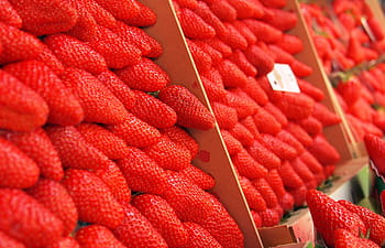 shallow, focus photography, red, strawberries, close, strawberry, fruits, food, healthy, market, abundance